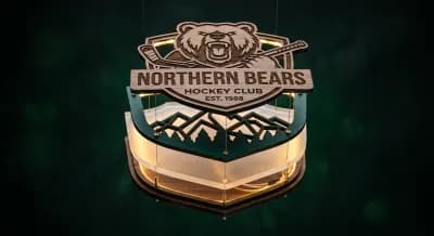 Exploded view of a layered LED team sign: crest, acrylic diffuser, wood base, LEDs